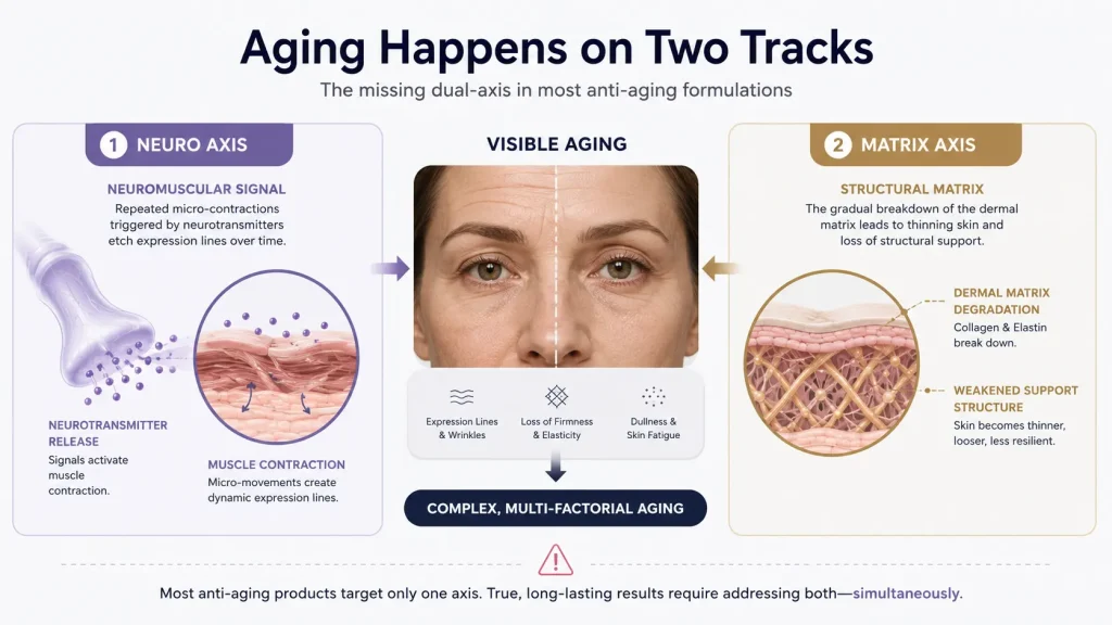 "Botox in a Bottle" is Dead: Why Your 2026 Hero Product Needs a Brain-Skin Connection 2