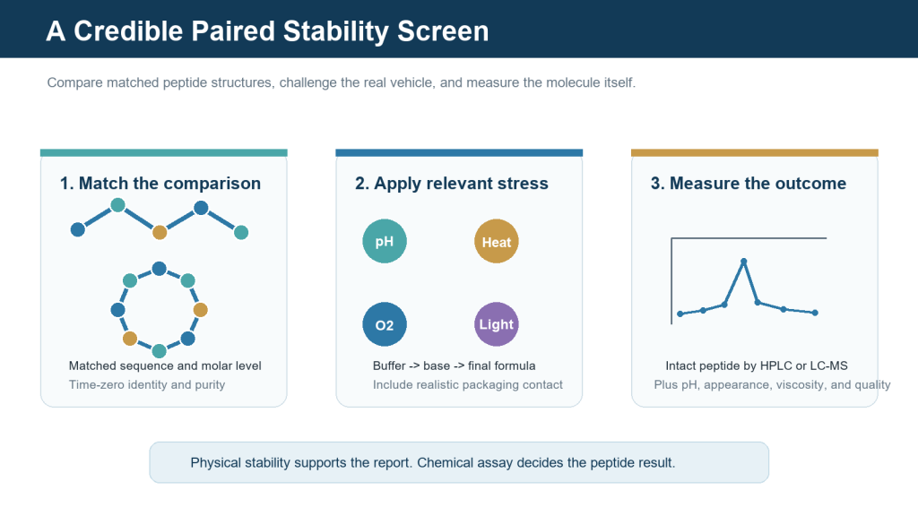 Cyclic vs Linear Peptides in Complex Formulas: What a Stability Experiment Really Shows 2