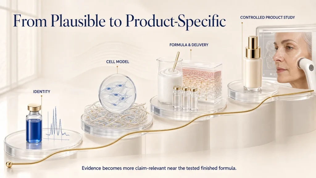 What Does Copper Tripeptide-1 Do for Skin? Evidence, Benefits, and Claim Boundaries 2